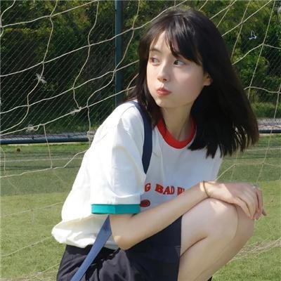 企鹅之岛：福克兰
